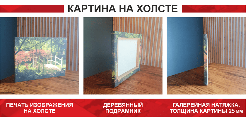 Печать картины на холсте заказать в Нижнем Новгороде